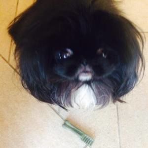 Meet your Posher, Judith